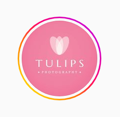 Tulips Photography - Photo and video  -  Photographers в USA