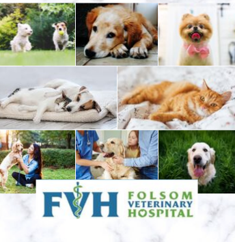 Folsom Veterinary Hospital - Русские врачи  -  Ветеринарные клиники в Сакраменто